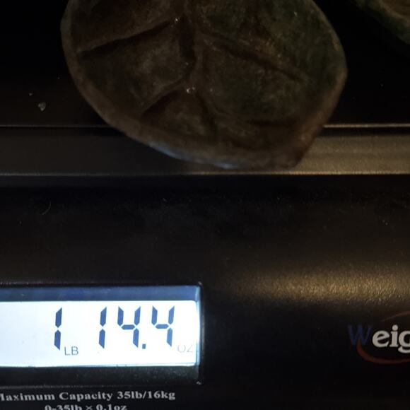 Vintage Cast Iron Leaf With Snail Rustic Primitive Garden Decor Ashtray Dish - Picture 14 of 14